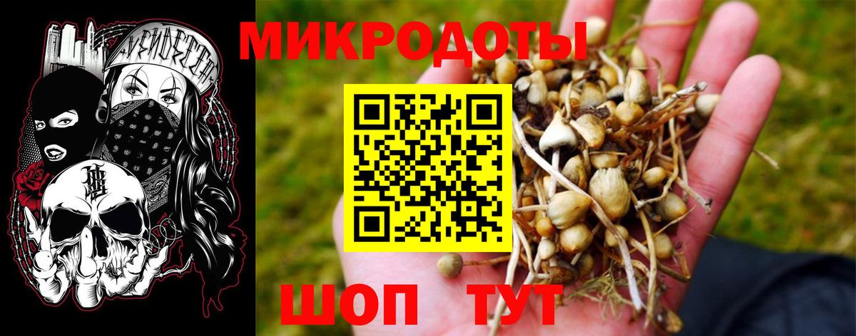 Галлюциногенные грибы GOLDEN TEACHER Сокол
