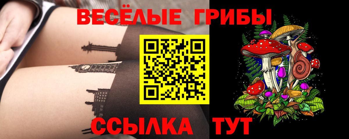 Сокол  Галлюциногенные грибы Cubensis  Псилоцибиновые грибы мухоморы  цены   Вход с VPN 